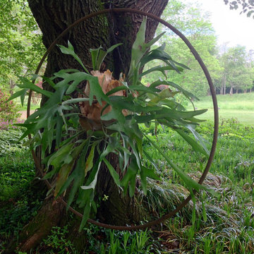Glendale: 20 years of Soul Conservation, near Somerset, VA