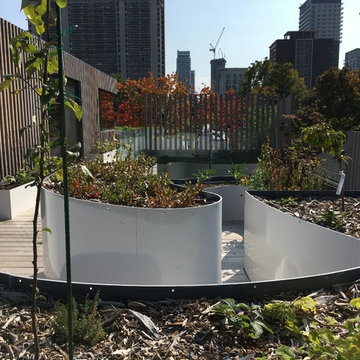 Urban Farm