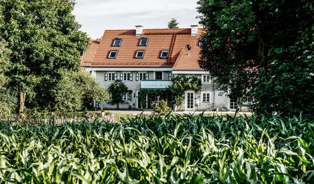 Visite Privée : Une rénovation contemporaine au cœur d'une ferme