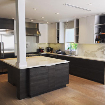 Contemporary Flat Panel Kitchen