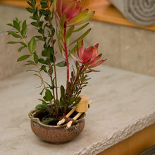 Plants
