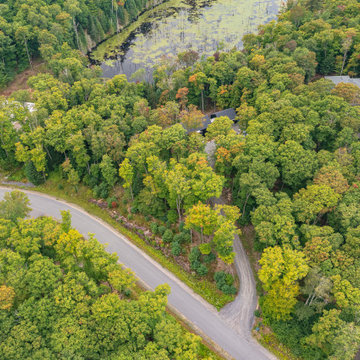 Forest Edge