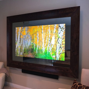 In-Mirror TVS