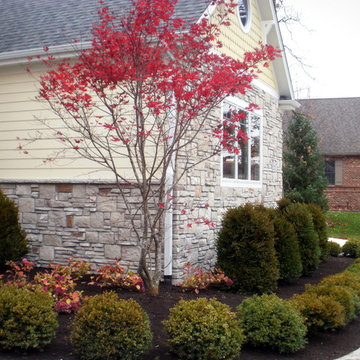 SImple, Contemporary, and Low Maintenance is sometimes enough