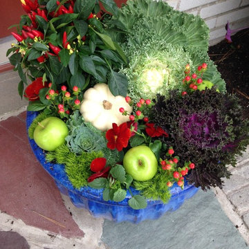 Container Gardens