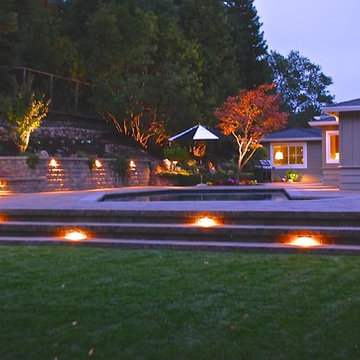 Scenic Orinda Landscape Remodel