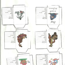 seed packet