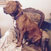 Lin Anderson's photo