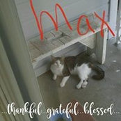 Sandy Smith's photo