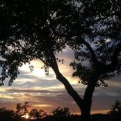 Michelle Deem's photo