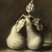 Elizabeth Spencer's photo