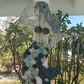 Lynn Harris-Rees's photo