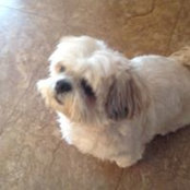 Sandra MacDonald's photo