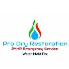 Pro Dry Restoration