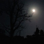 Foto von Glenna Wilson