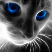 Lorraine Baughman's photo
