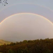 Daniel Kedar's photo