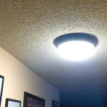 14” Dimmable LED Flush Mount, Brush Nickel