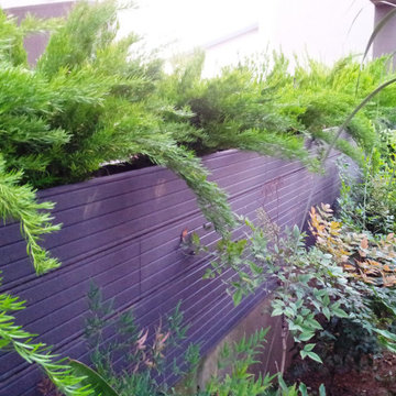Gorgeous Gardens planters, raised flower beds