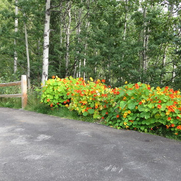 Fire pit terrace Eagle River Master Plan