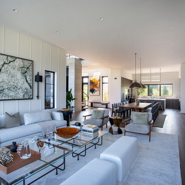 Contemporary Transitional Home