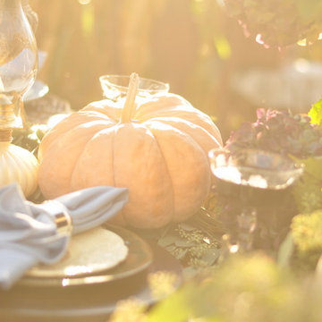 My Fall Palette