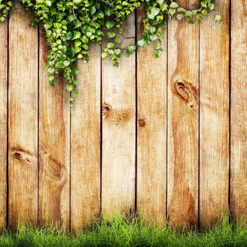 Cedar Wood Fence