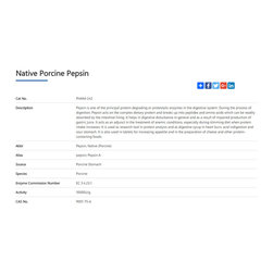pepsin - Products