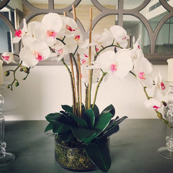Phalaenopsis orchid arrangement - Artificial Flowers, Plants & Trees