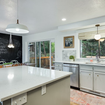 Mid Century Modern Remodel