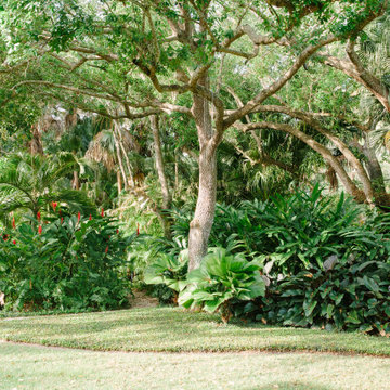 Formal Courtyard Garden