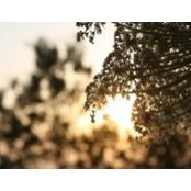 Fatima Sb's photo