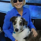 Gaylene Graham's photo