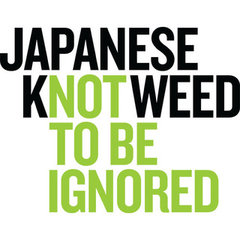 Japanese Knotweed Ltd