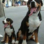 Jen Brunner's photo