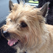 Stuart Bollock's photo