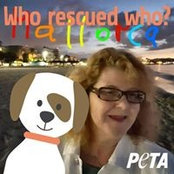 Marion Bergmann's photo