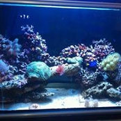 Drew Vanderwoude's photo