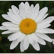 Barbara Peterson's photo