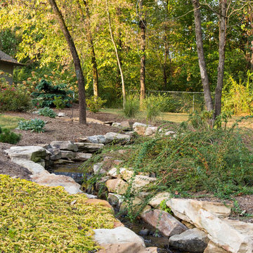 Natural Stream After