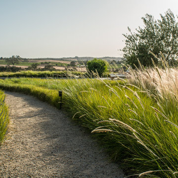 Burbank Ranch Winery & Vineyard