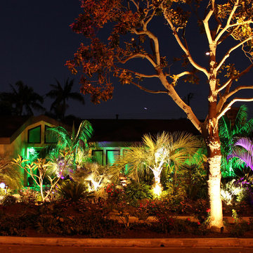 Landscape Lighting