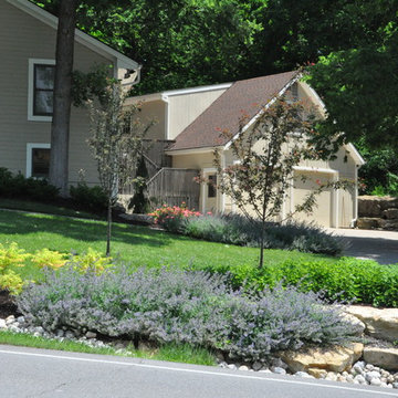 Woodland Garden