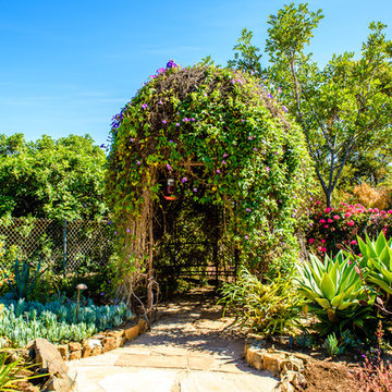 Premium Landscapes