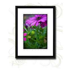 Botanical Series - Artwork