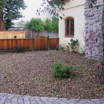 Replanted Area with Flagstone Path