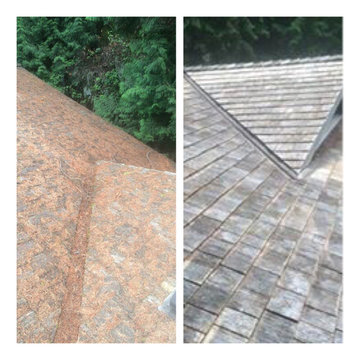 Roof Cleaning