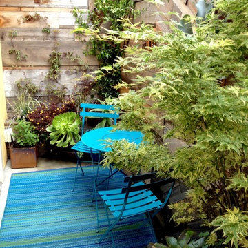 Urban Courtyard