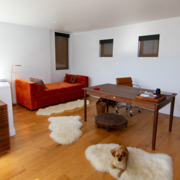 Venice Beach Renovation