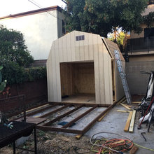Shed